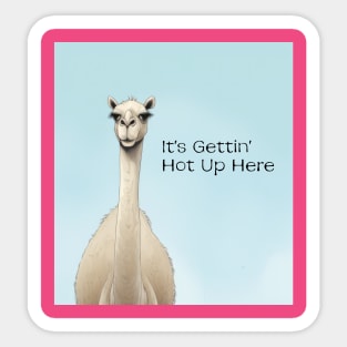 Camel it's gettin' hot up here Sticker